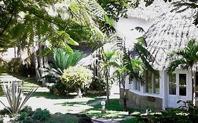 Stephanie Ocean Resort